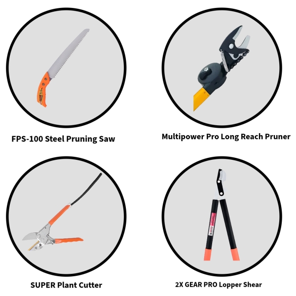 Falcon-Garden-Master-4-Tool-Set--FPS-100-Saw-Plus-Long-Reach-Pruner-Plus-SUPER-Cutter-and-2X-Gear-Pro-Lopper
